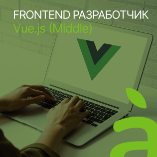 Разработчик Vue